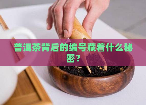 普洱茶后面的编号