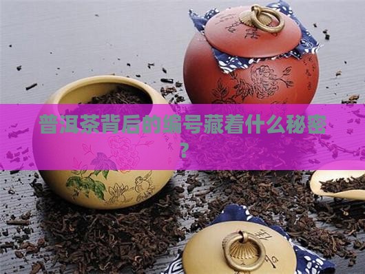 普洱茶后面的编号