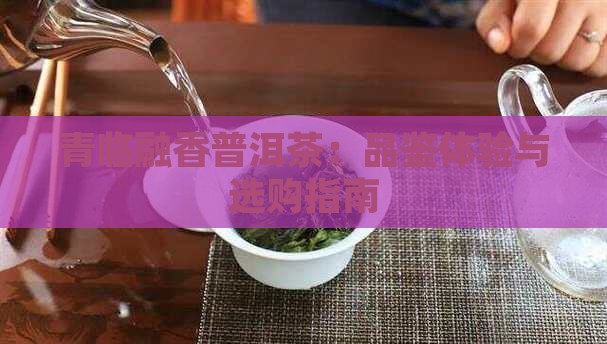 青临融香普洱茶