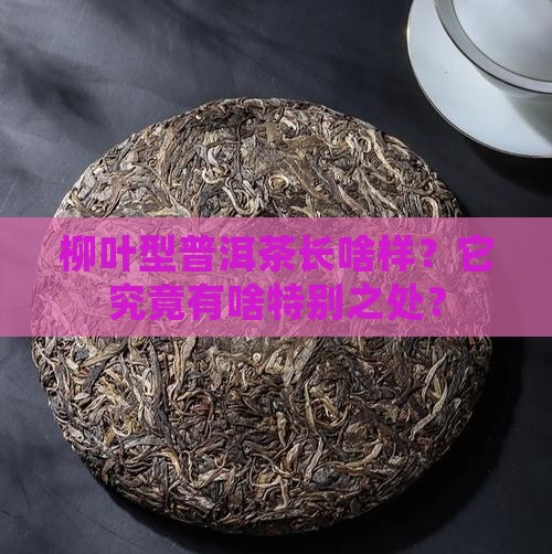 柳叶型普洱茶的特点有哪些