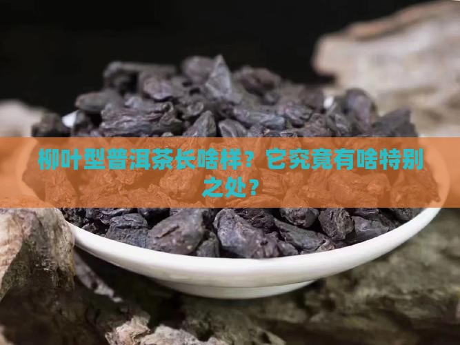 柳叶型普洱茶的特点有哪些
