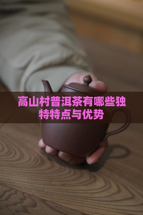 高山村普洱茶有哪些