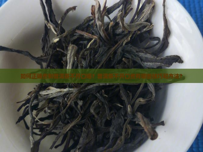 普洱茶如何煮不开口喝
