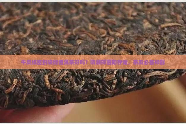 牛皮纸密封袋储普洱茶好吗