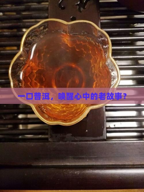 喝上一杯普洱茶 喝上一杯普洱茶