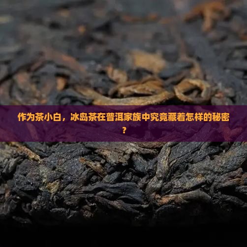 冰岛算普洱茶里的什么茶
