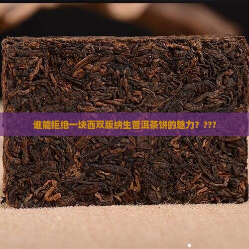 西双版纳生普洱茶饼
