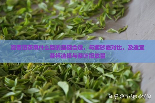 泡普洱茶用什么型的盖碗