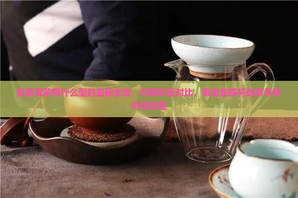 泡普洱茶用什么型的盖碗