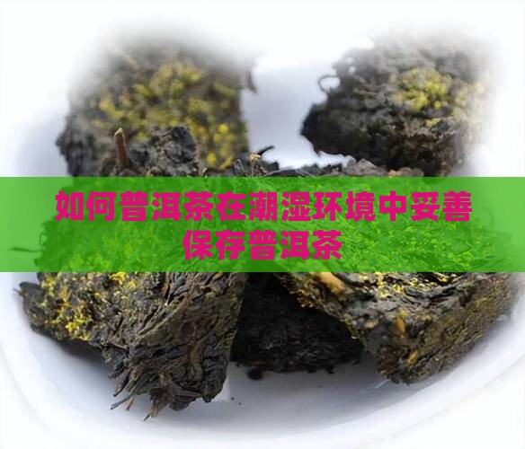 潮湿天怎么保存普洱茶