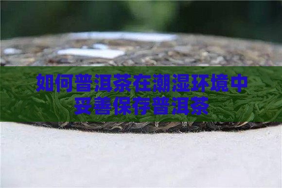 潮湿天怎么保存普洱茶
