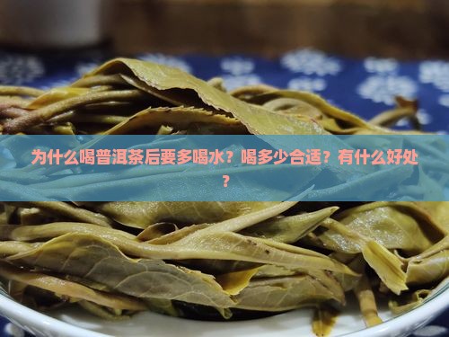 普洱茶为什么要多喝水呢