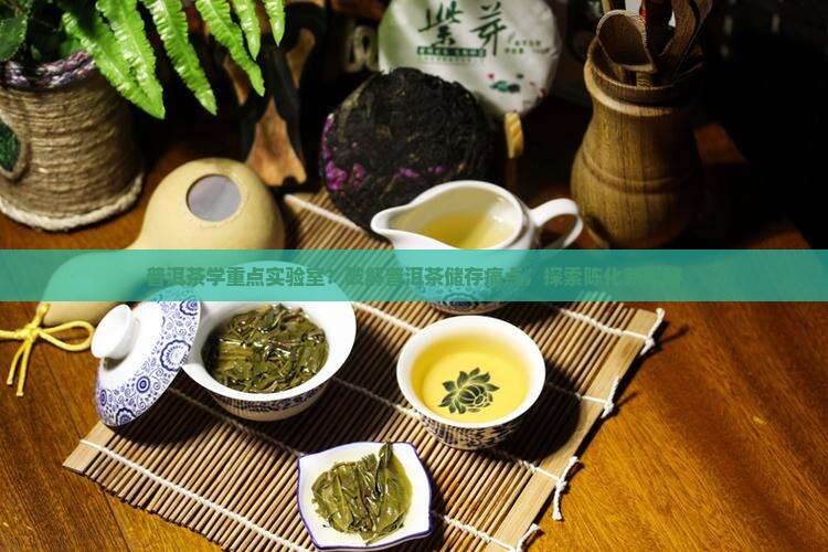 普洱茶学重点实验室