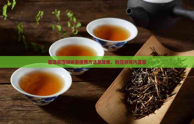 普洱茶压饼喷雾