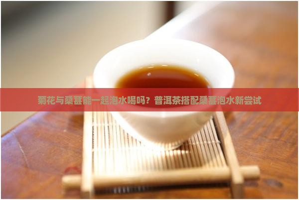 菊花普洱茶里能放桑椹吗