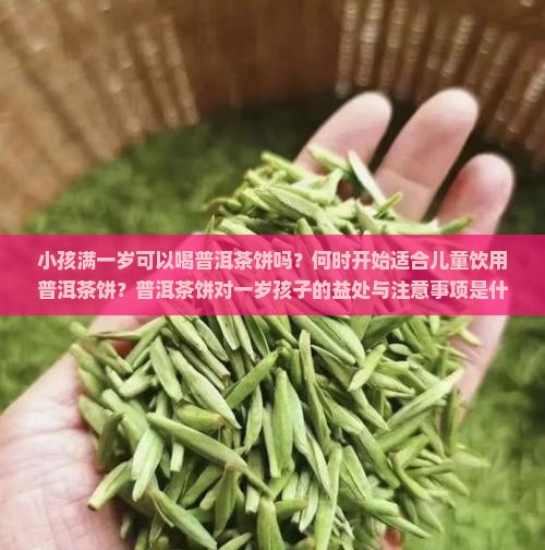 小孩满一岁可以送普洱茶饼 小孩满一岁可以送普洱茶饼