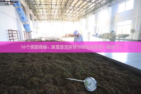 普洱茶饼为什么有点软味