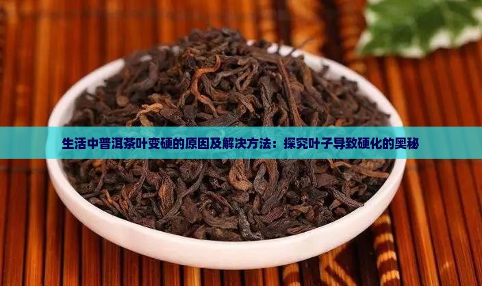茶叶子硬是怎么回事 茶叶子硬是怎么回事