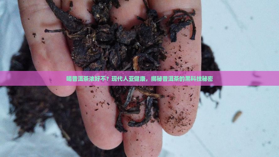 喝普洱茶浓好不