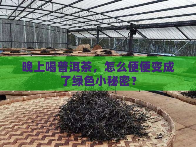 晚上喝普洱茶拉便便是绿色