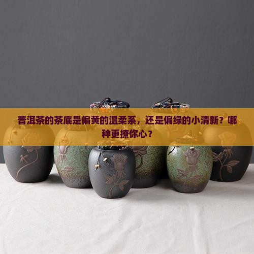 普洱茶底偏黄还是偏绿色
