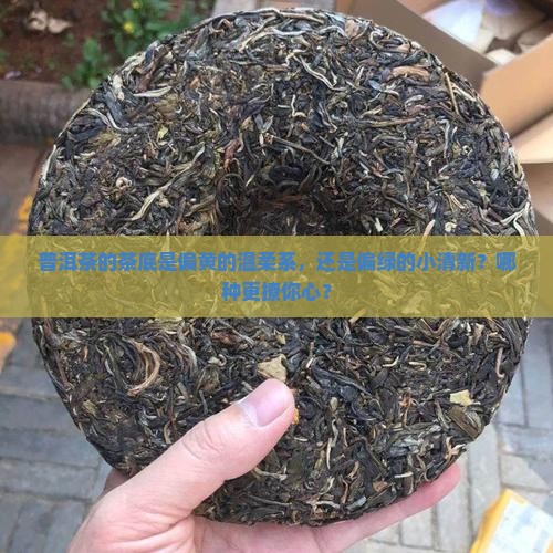 普洱茶底偏黄还是偏绿色