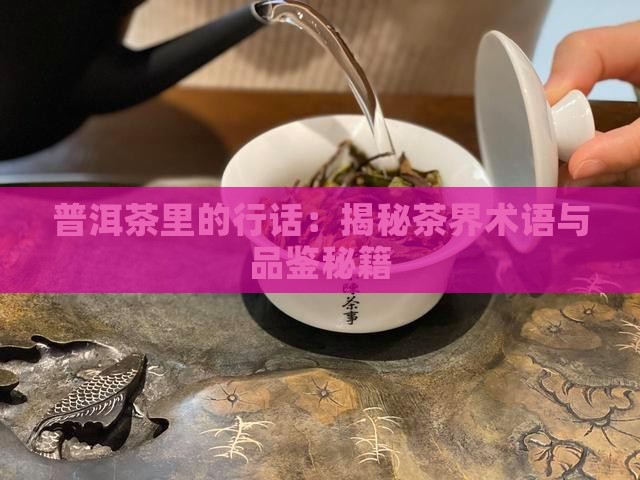 普洱茶里的行话