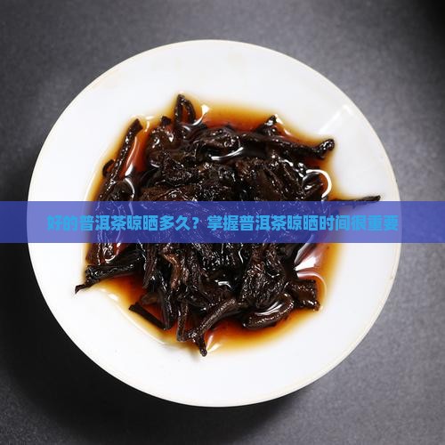 刚压好的普洱茶要晒多久