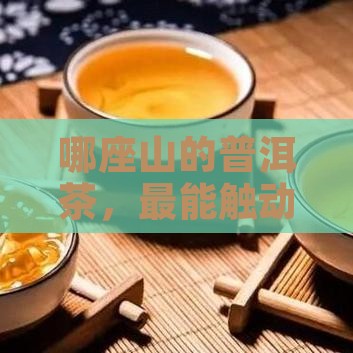 普洱茶六大山头的茶谁更好喝