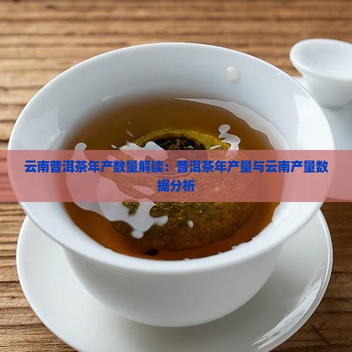 云南省普洱茶年产量