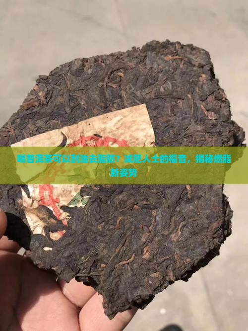 喝普洱茶可以刮油去脂肪