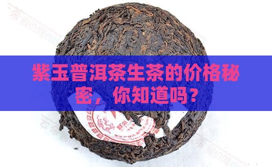 紫玉普洱茶生茶多少钱