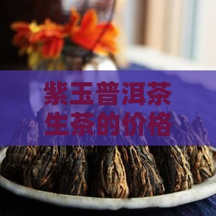 紫玉普洱茶生茶多少钱