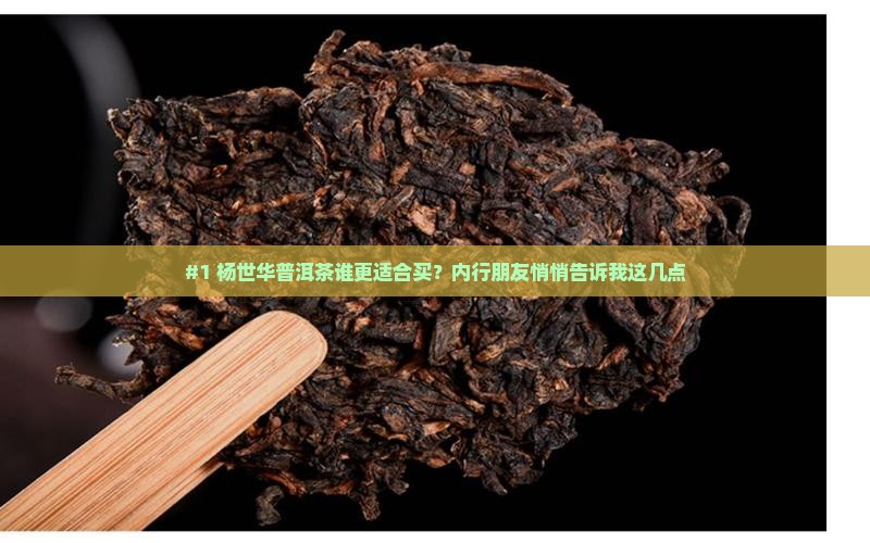 杨世华普洱茶品种
