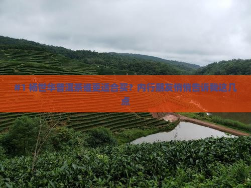 杨世华普洱茶品种