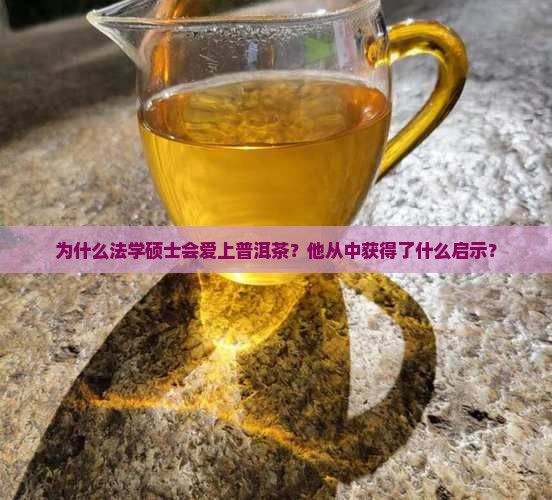 爱上普洱茶的法学硕士