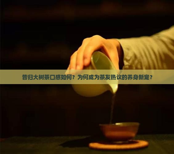 昔归大树茶好喝吗