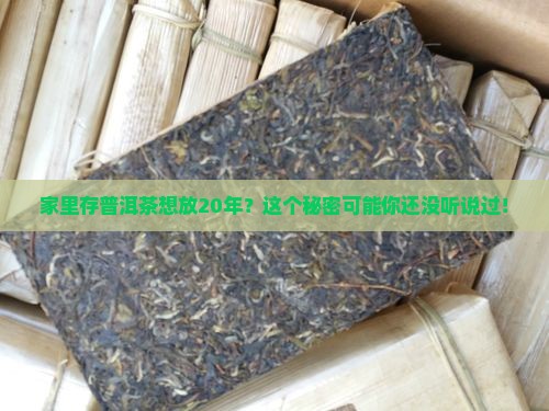 家庭如何长期存放普洱茶20年