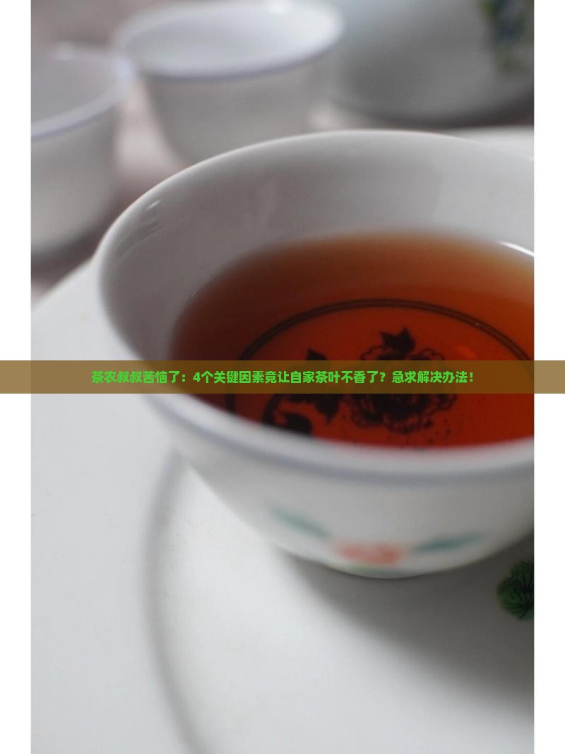 影响茶叶品质的主要因素