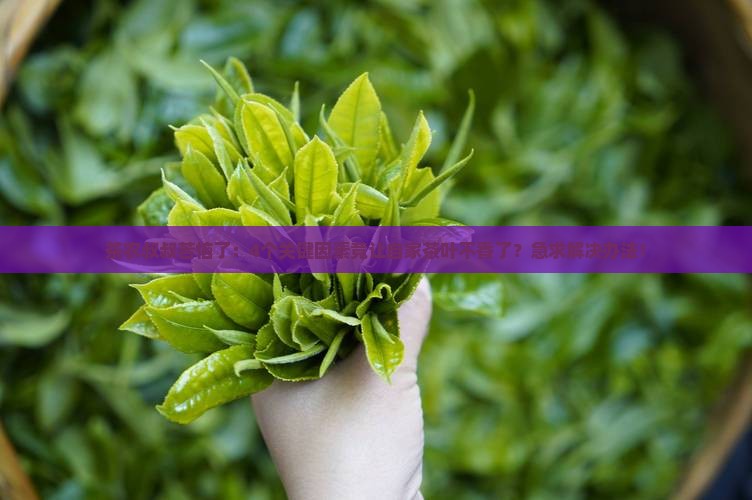 影响茶叶品质的主要因素