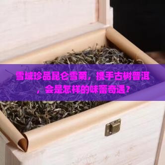 昆仑雪菊配普洱茶