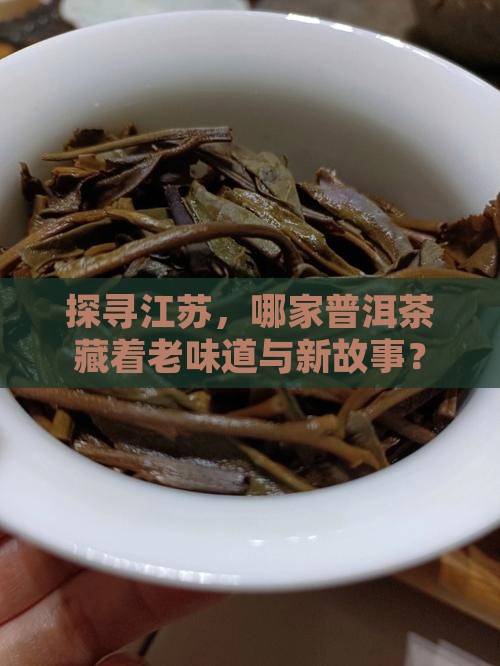 江苏普洱茶哪个牌子好