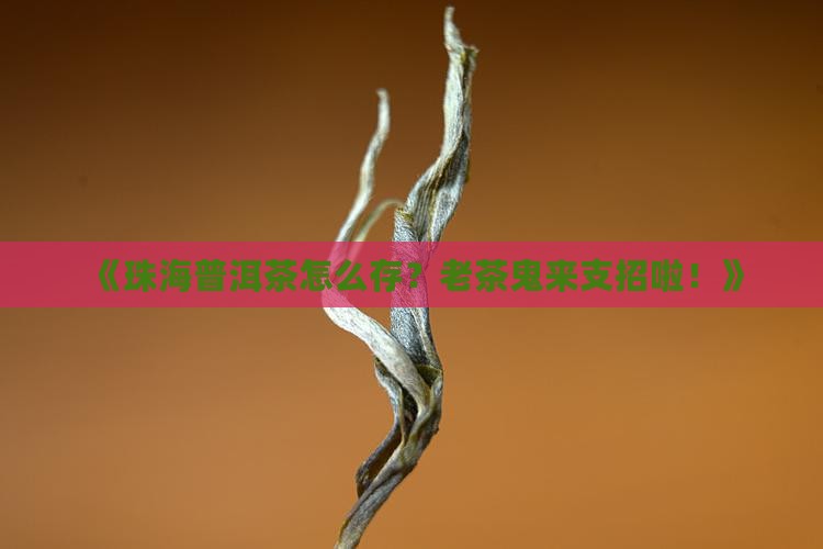 珠海普洱茶的储存