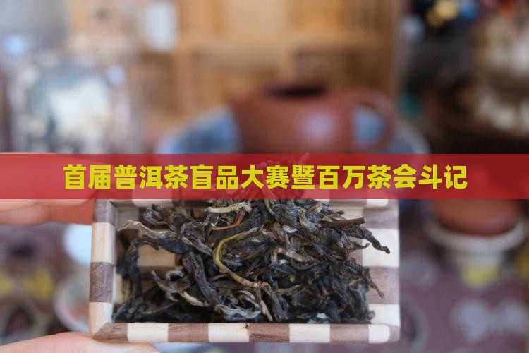 首届普洱茶盲品大赛