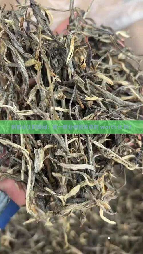 茗一茶业老班章
