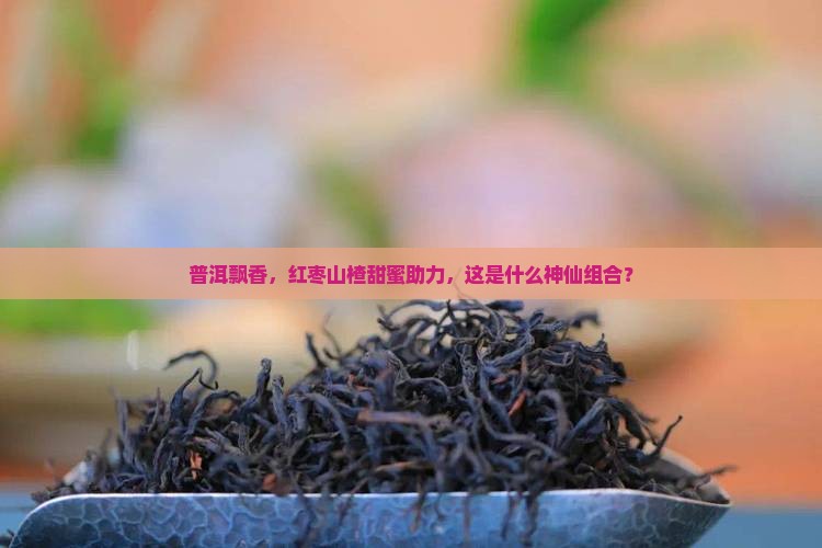 云南普洱茶红枣山楂