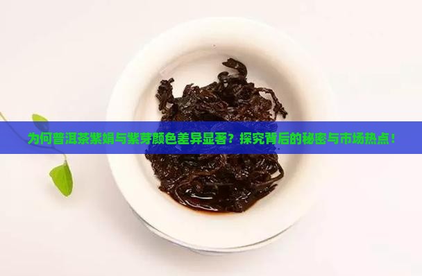 普洱茶紫娟和紫芽颜色的不同