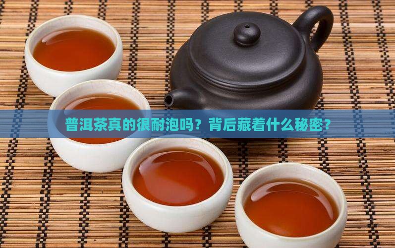 普洱茶不是很耐泡吗