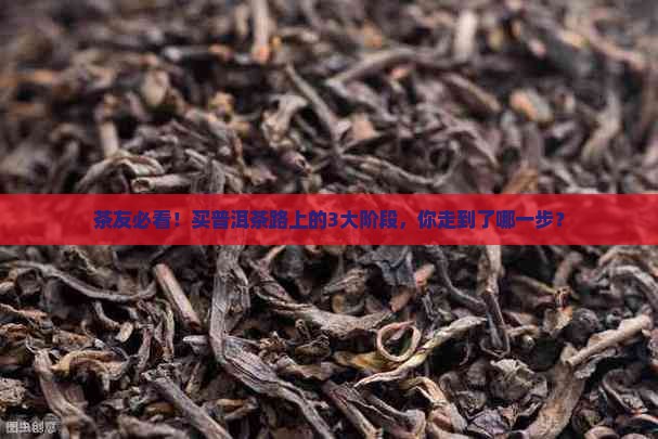 普洱茶购买藏的三阶段