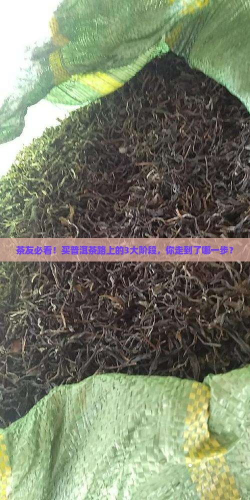 普洱茶购买藏的三阶段